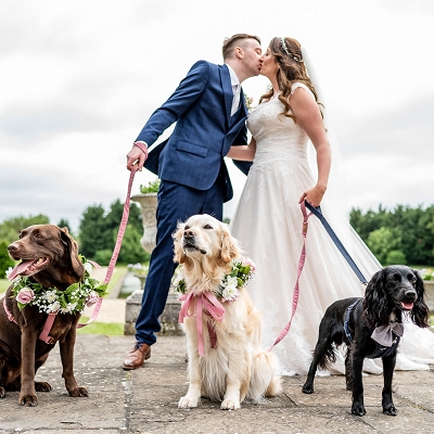 Pets At Weddings