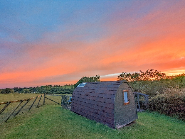 Bybrook Alpacas, Carmarthenshire