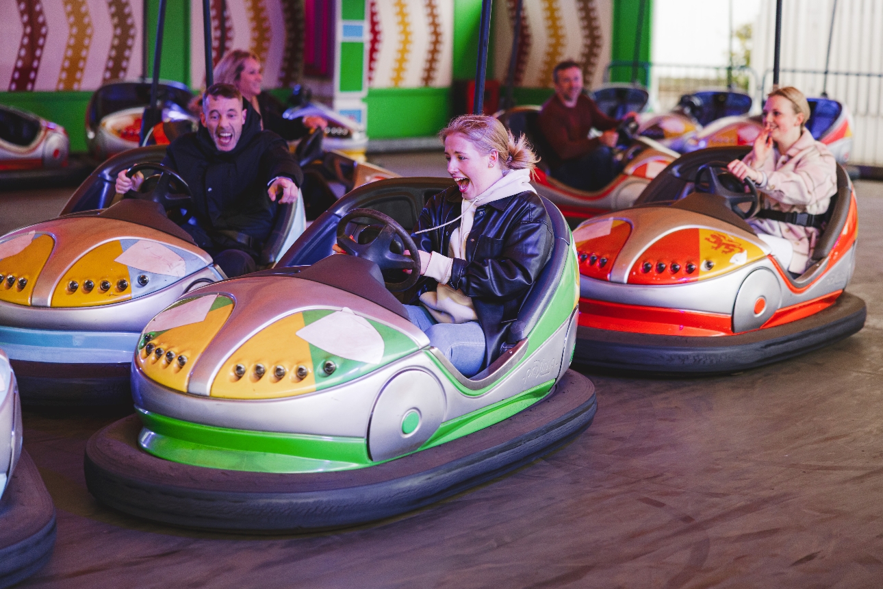 adults in bumper cars