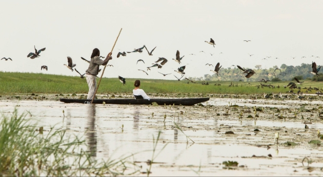 Two people on a boat on a lake surrounded by birds